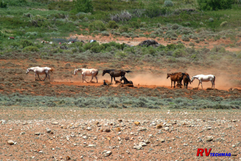 Click to view fullsize /articlepics/4_yellowstonebyrv_image-57.jpg