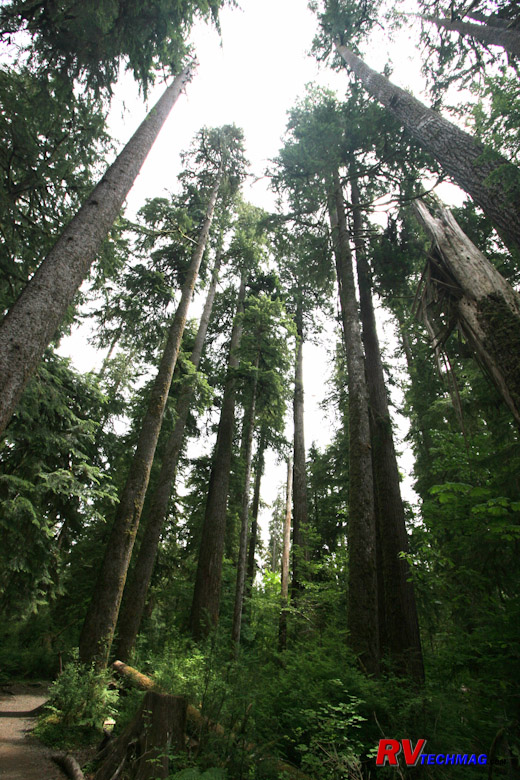 Click to view fullsize /articlepics/10_pacwest_image-25.jpg