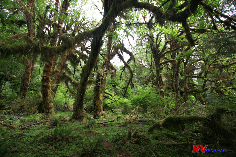 Click to view fullsize /articlepics/10_pacwest_image-26.jpg