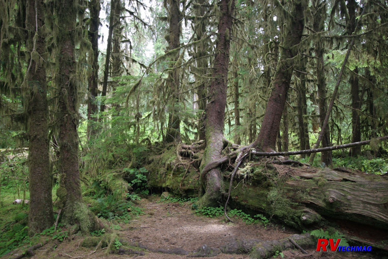 Click to view fullsize /articlepics/10_pacwest_image-27.jpg