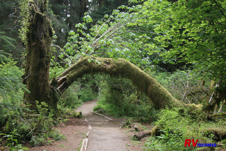 Click to view fullsize /articlepics/10_pacwest_image-28.jpg