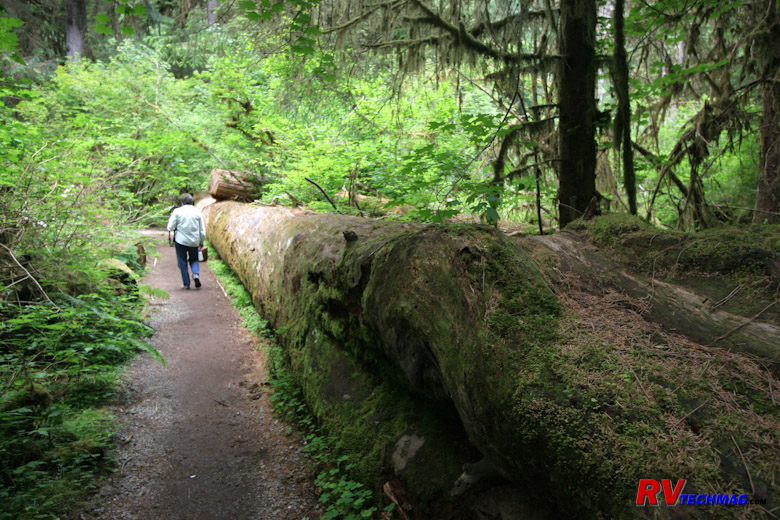 Click to view fullsize /articlepics/10_pacwest_image-29.jpg