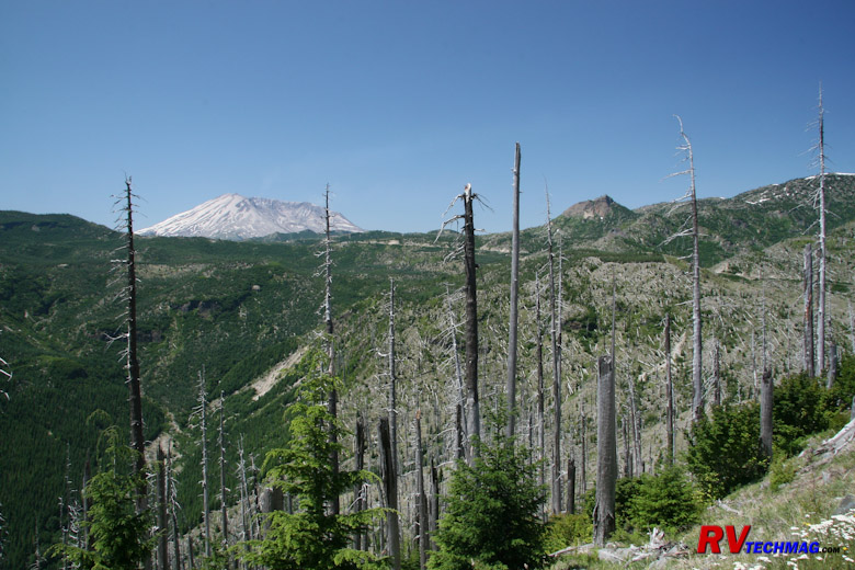 Click to view fullsize /articlepics/10_pacwest_image-78.jpg