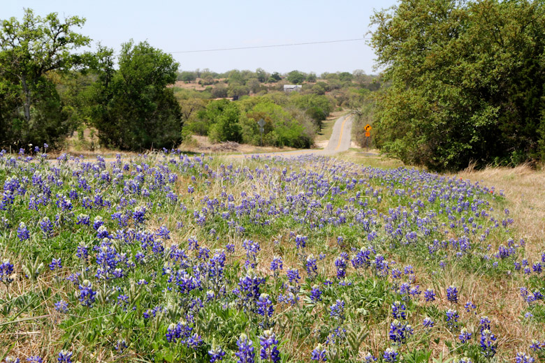 Click to view fullsize /articlepics/29_texashill_image-10.jpg