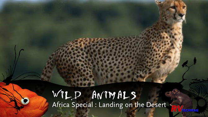 Click to view fullsize /articlepics/52_videotips_image-7.jpg