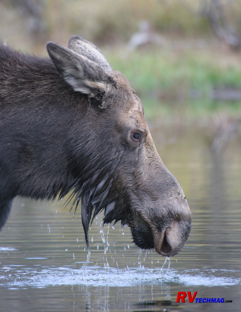 Click to view fullsize /articlepics/55_tetons_image-2.jpg