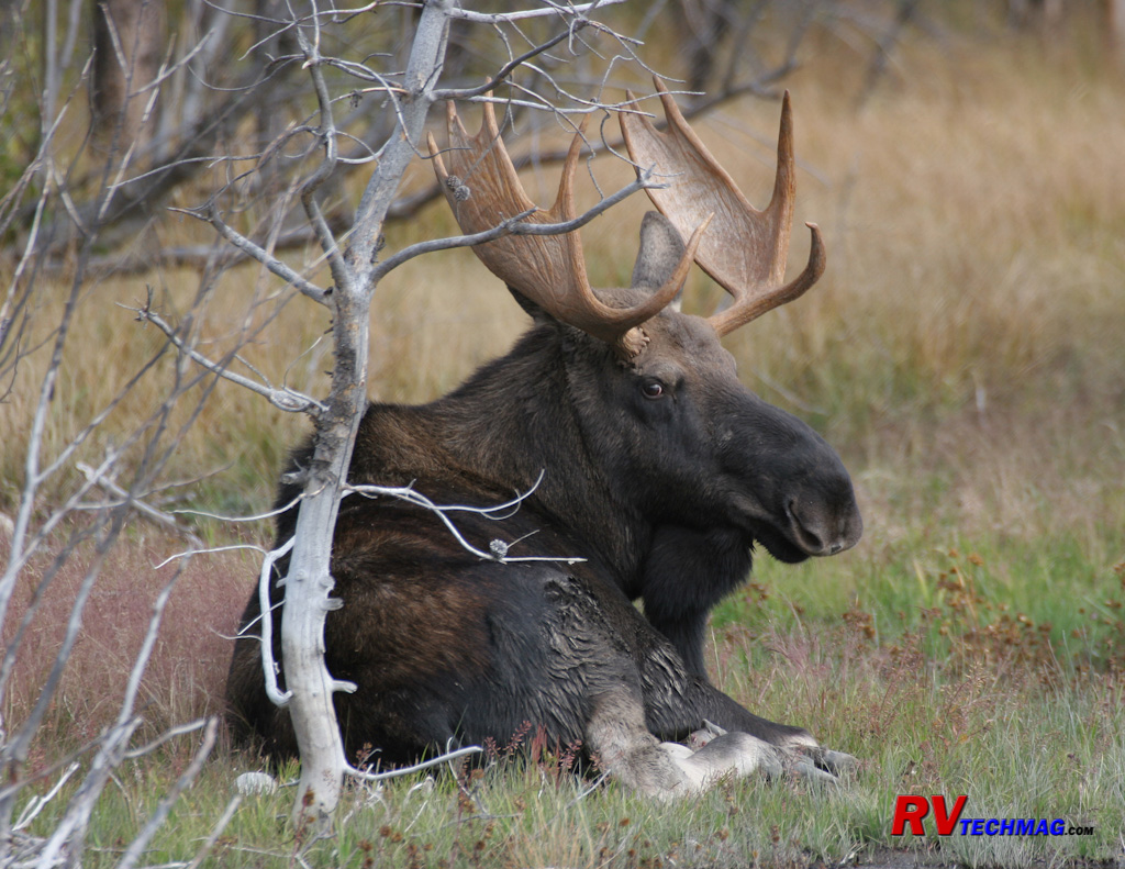 Click to view fullsize /articlepics/55_tetons_image-3.jpg