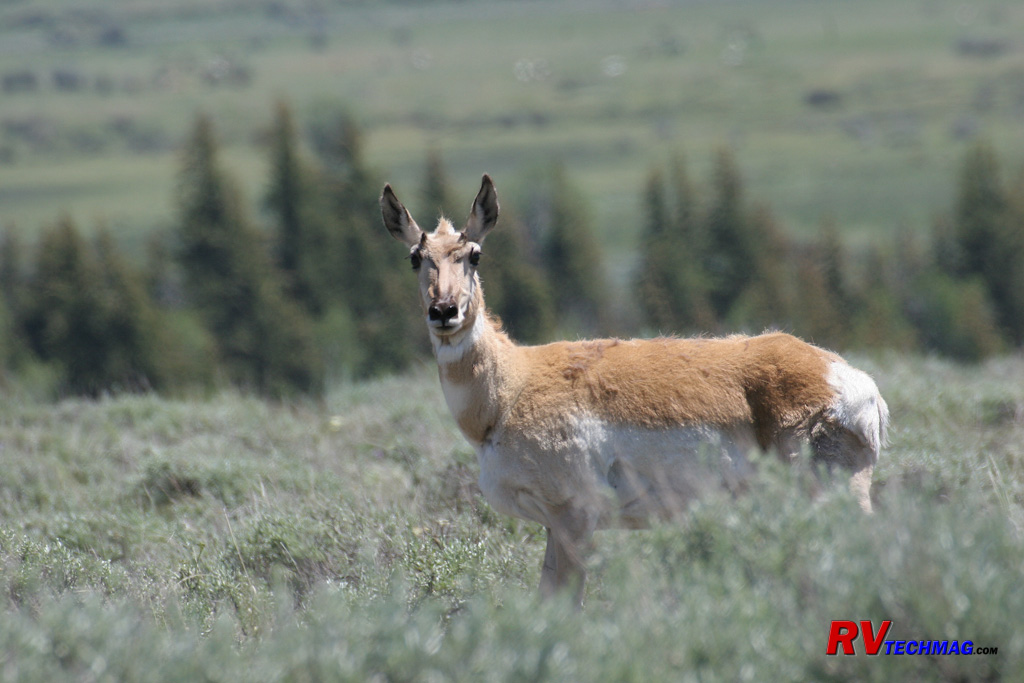 Click to view fullsize /articlepics/55_tetons_image-9.jpg