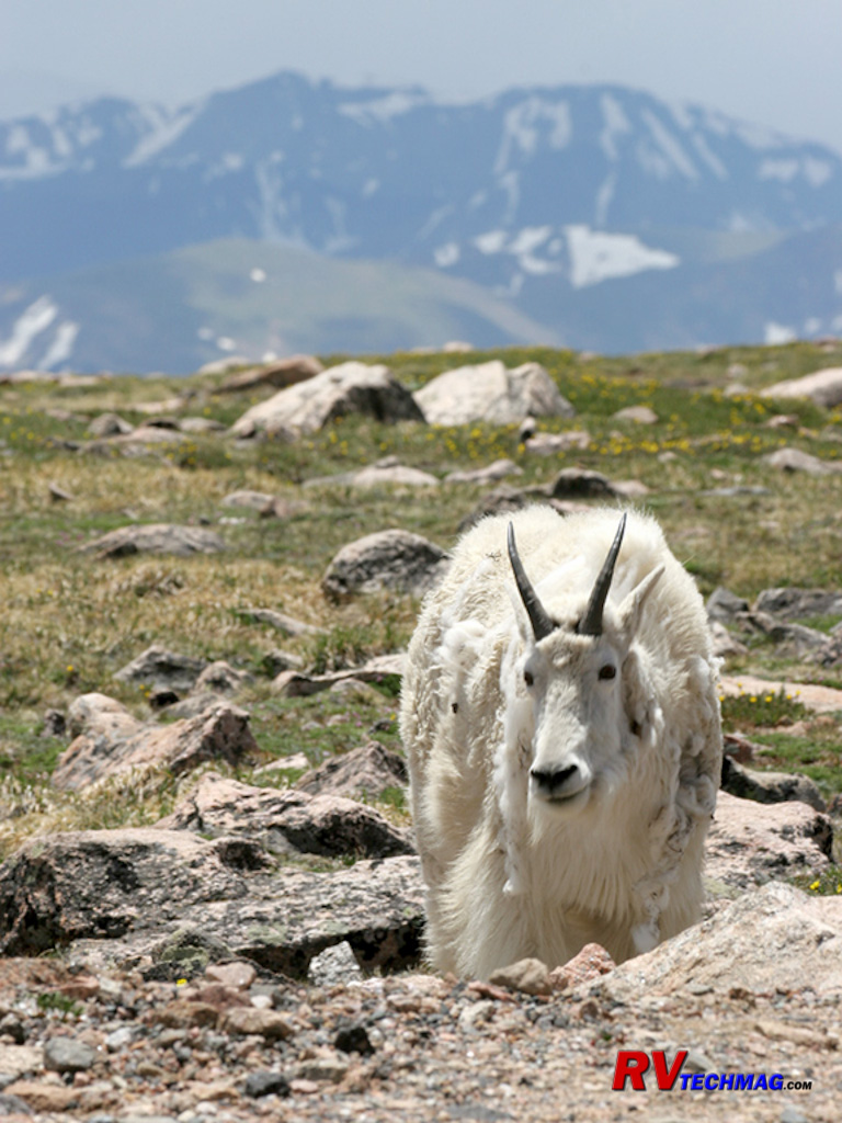Click to view fullsize /articlepics/56_colo_image-32.jpg