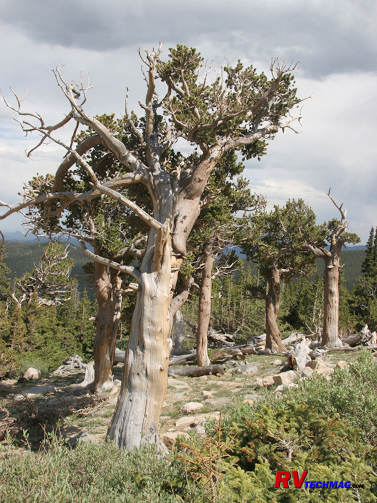 Click to view fullsize /articlepics/56_colo_image-36.jpg
