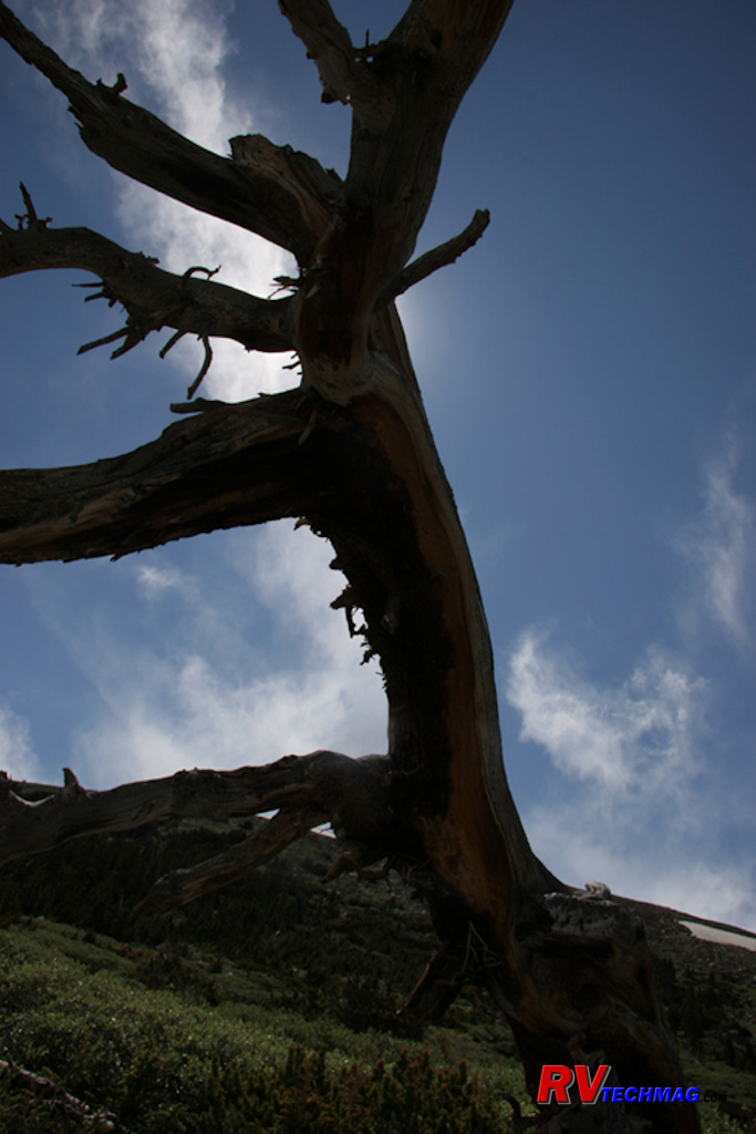 Click to view fullsize /articlepics/56_colo_image-37.jpg