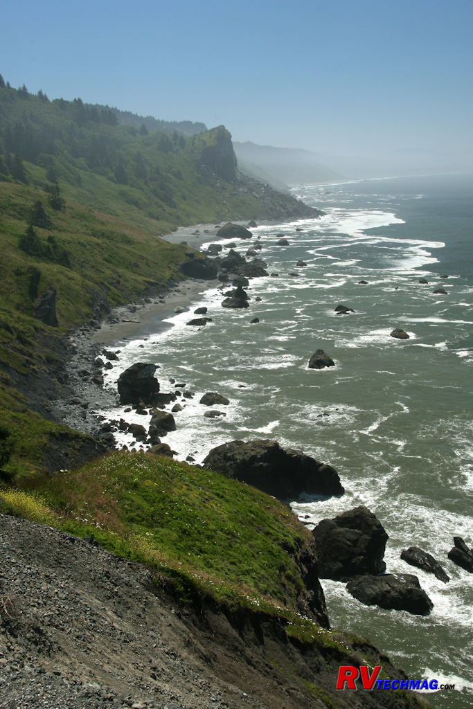 Click to view fullsize /articlepics/68_redwoods_image-13.jpg