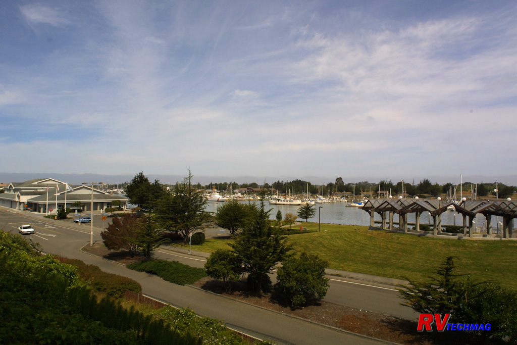Click to view fullsize /articlepics/68_redwoods_image-4.jpg