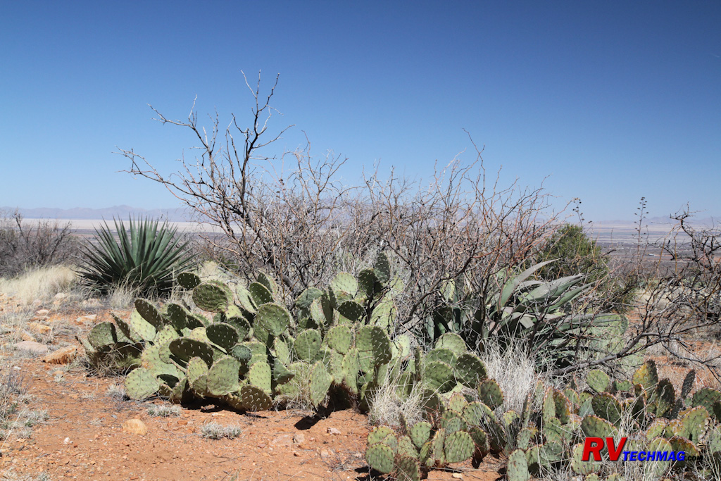 Click to view fullsize /articlepics/69_cochise_image-2.jpg