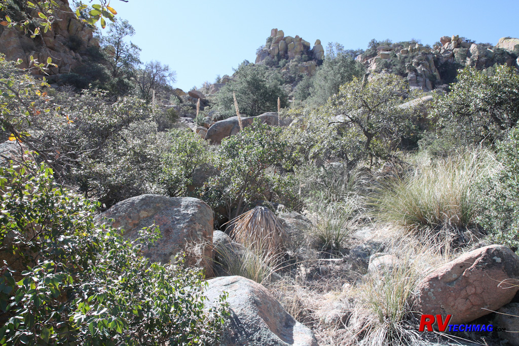 Click to view fullsize /articlepics/69_cochise_image-9.jpg